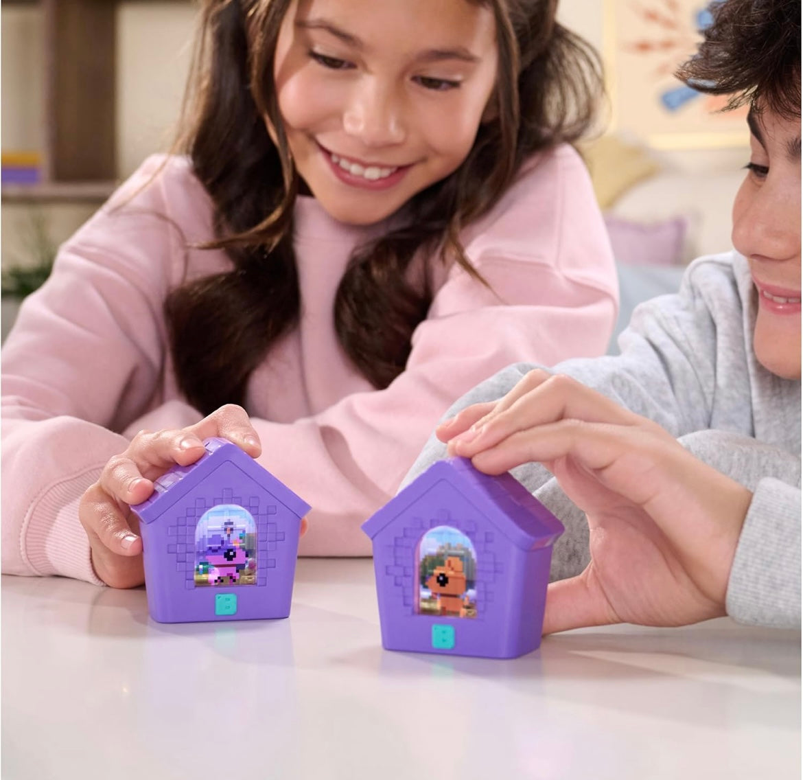 Interactive Digital Pet Doghouse