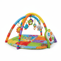 Baby Activity Gym & Play Arch