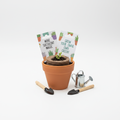 Miniature Succulent Grow Kit